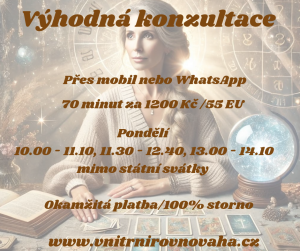 70-minut-vyhodna-konzultace.png